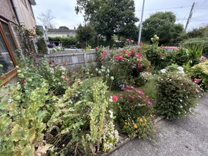 Photo 18- click for photo gallery